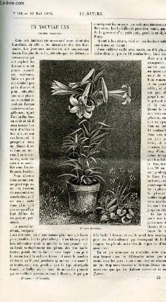 La nature n° 520 - Un nouveau lys, lilium harrish … | Immagine principale