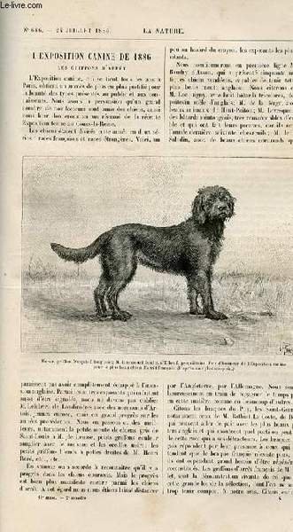 La nature n° 686 - L'exposition canine de 1886, les …