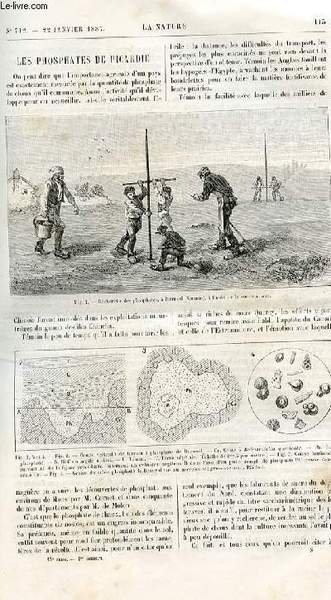 La nature n° 712 - Les phosphates de Picardie par …