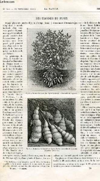 La nature n° 754 - Les crosnes du Japon par Ernest Bergman, L'archipel canarien et ses habitants primitifs par Dr Verneau, La traction mécanique des véhicules sur routes, La tour Eiffel par Gaston Tissandier, La température probable du pole par Jules
