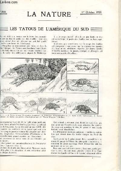 La nature n° 3034 - Les tatous de l'Amérique du … | Immagine principale