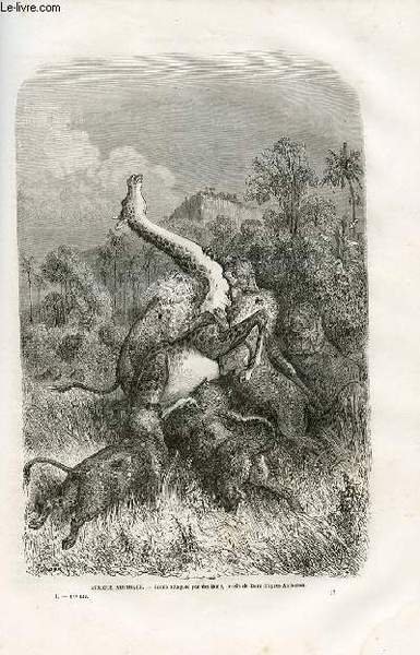 Le tour du monde - nouveau journal des voyages - …