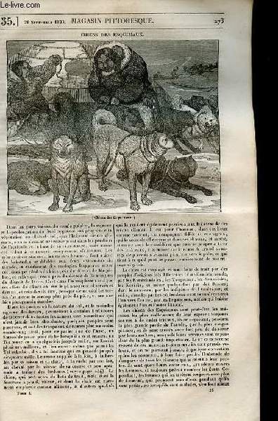 LE MAGASIN PITTORESQUE - Livraison n°0035 - Chiens des esquimaux.