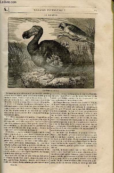 LE MAGASIN PITTORESQUE - Livraison n°004 - Le dronte.