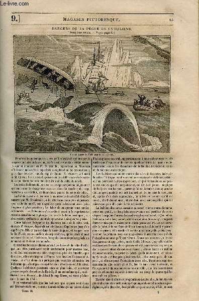 LE MAGASIN PITTORESQUE - Livraison n°009 - Dangers de la …