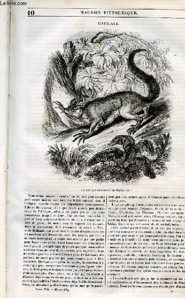 LE MAGASIN PITTORESQUE - Livraison n°010 - L'aye - aye.