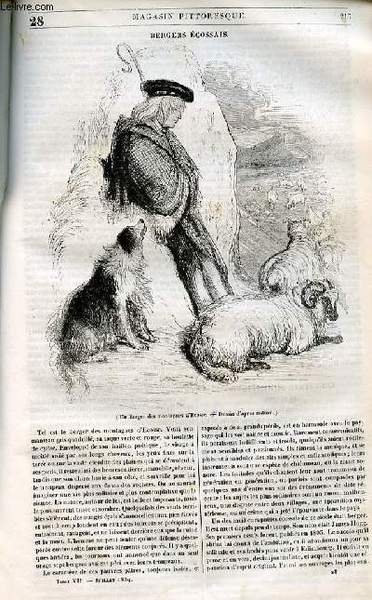 LE MAGASIN PITTORESQUE - Livraison n°028 - Bergers écossais.