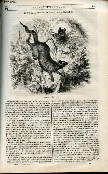 LE MAGASIN PITTORESQUE - Livraison n°012 - Les phalangers et …