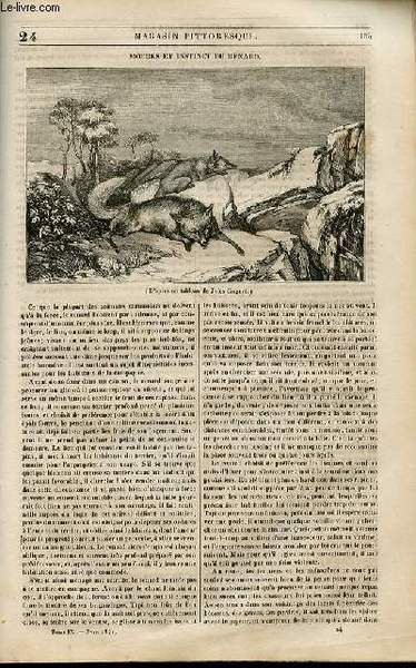 LE MAGASIN PITTORESQUE - Livraison n°024 - Moeurs et instincts …
