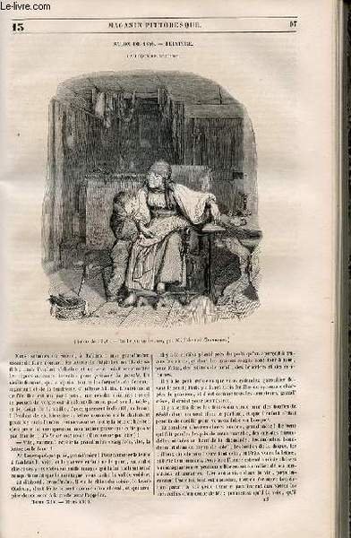 LE MAGASIN PITTORESQUE - Livraison n°013 - Salon de 1846 …