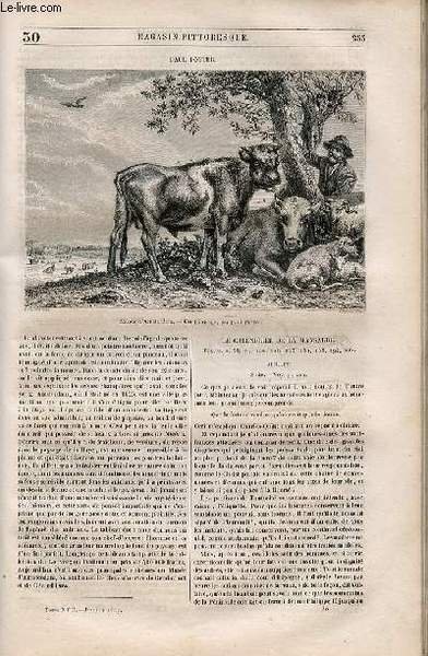 LE MAGASIN PITTORESQUE - Livraison n°030 - Paul Potter.