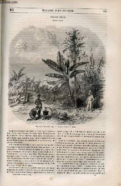 LE MAGASIN PITTORESQUE - Livraison n°025 - Village nègre (Guadeloupe). | Immagine principale