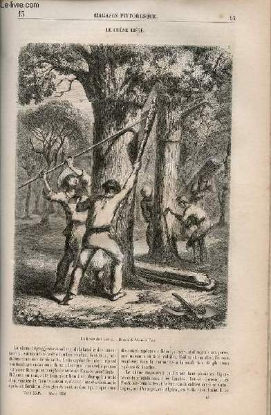 LE MAGASIN PITTORESQUE - Livraison n°013 - Le chêne liège.