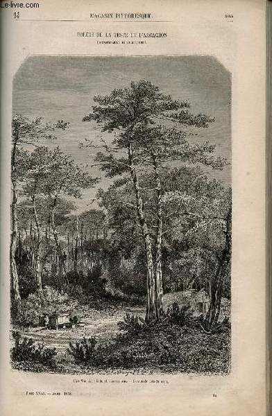 LE MAGASIN PITTORESQUE - Livraison n°014 - Forêts de la …