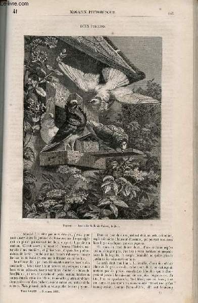 LE MAGASIN PITTORESQUE - Livraison n°041 - Deux pigeons.