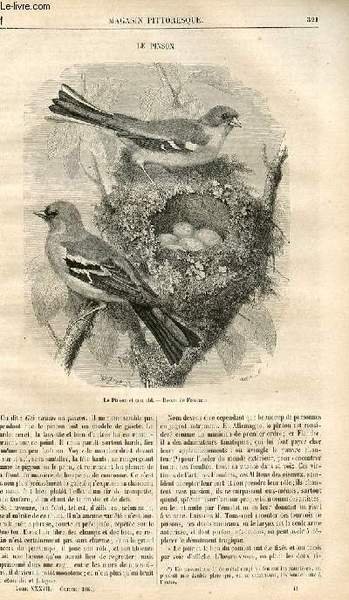 LE MAGASIN PITTORESQUE - Livraison n°041 - Le pinson.