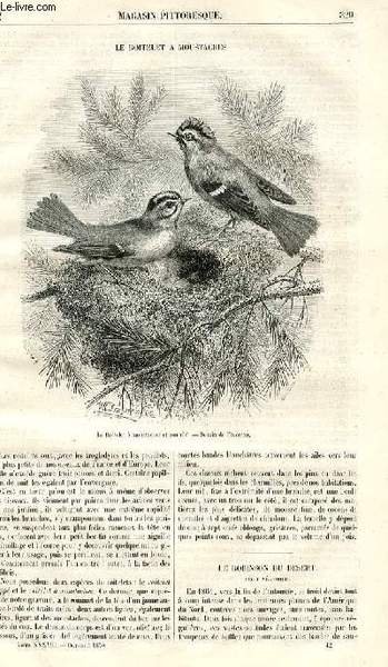 LE MAGASIN PITTORESQUE - Livraison n°042 - Le roitelet à …