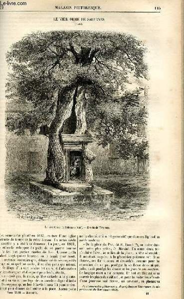 LE MAGASIN PITTORESQUE - Livraison n°19 - Le viel orme …