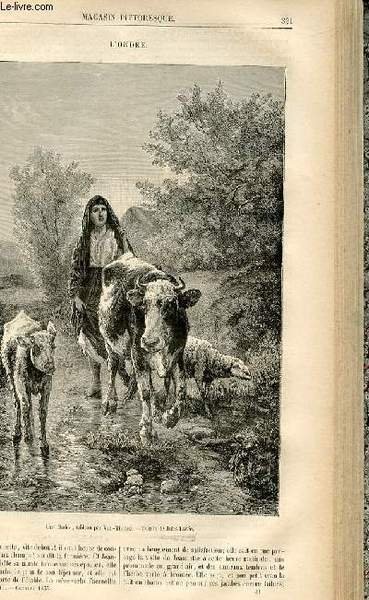 LE MAGASIN PITTORESQUE - Livraison n°41 - L'ondée.