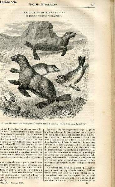 LE MAGASIN PITTORESQUE - Livraison n°48 - Les otaries ou …