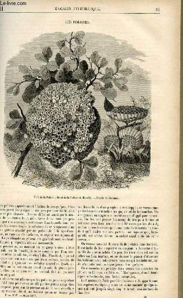 LE MAGASIN PITTORESQUE - Livraison n°11 - Les polistes.