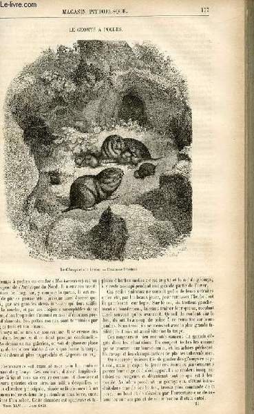 LE MAGASIN PITTORESQUE - Livraison n°23 - Le géomys à …