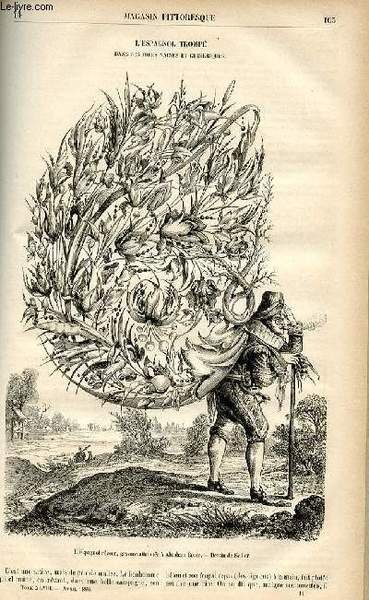 LE MAGASIN PITTORESQUE - Livraison n°14 - L'espagnol trompé dans …