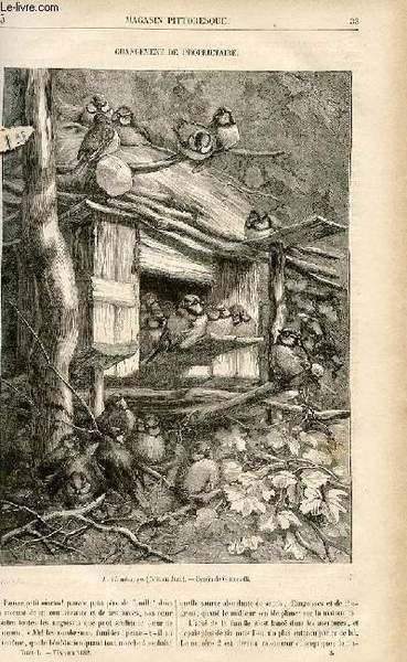 LE MAGASIN PITTORESQUE - Livraison n°05 - Changement de propriétaire.