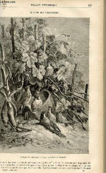 LE MAGASIN PITTORESQUE - Livraison n°18 - Le repos des …