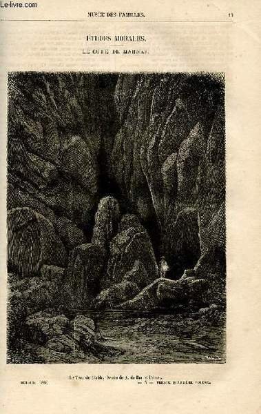 Le musée des familles - lecture du soir - livraison …