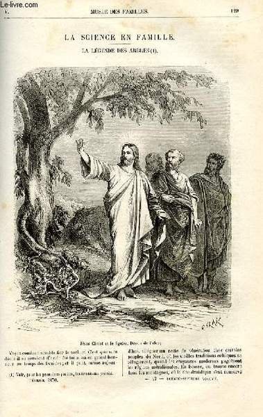 Le musée des familles - lecture du soir - livraison …