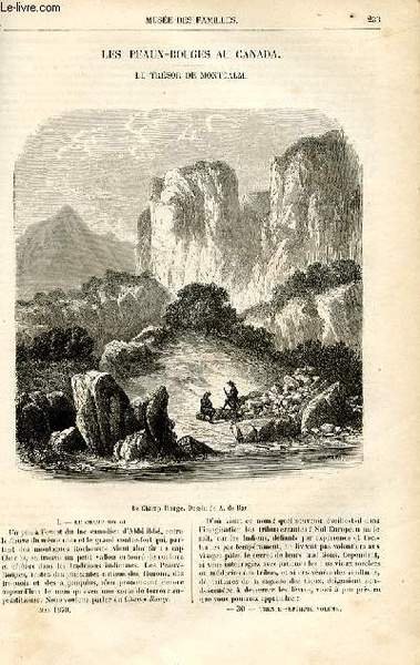 Le musée des familles - lecture du soir - livraisons …