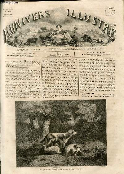 L'UNIVERS ILLUSTRE - DEUXIEME ANNEE N° 66 - Chiens dans …