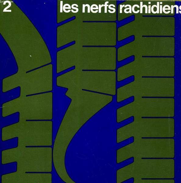 23. LES NERFS RACHIDIENS