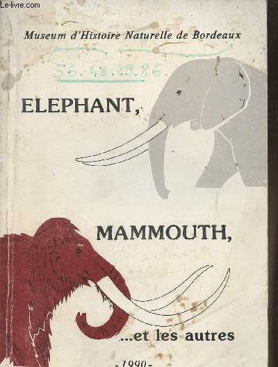 Eléphant, mammouth,.et les autres- Museum d'Histoire Naturelle de Bordeux