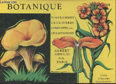 Livre d'images éducatives/Botanique n°59- Diagrammes, crucifères composées, etc. Champignons