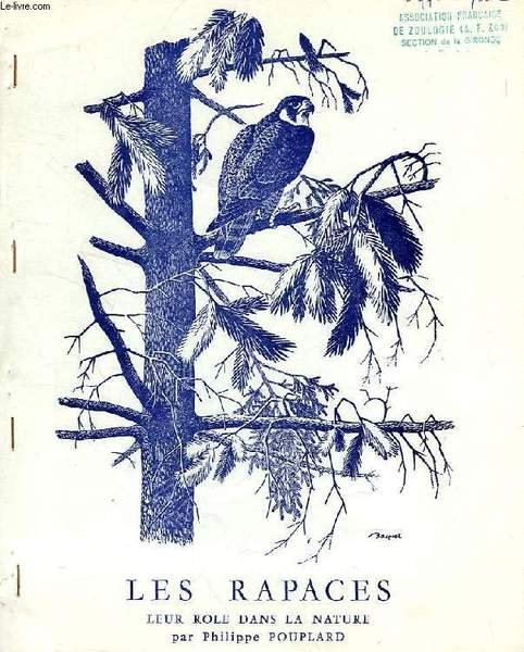 LES RAPACES, VIE, MOEURS ET ROLE DANS LA NATURE | Immagine principale