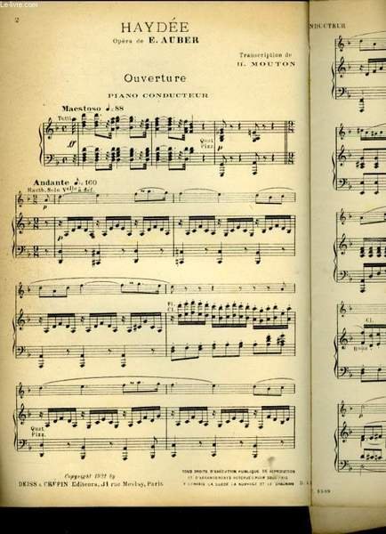 HAYDEE | Immagine principale