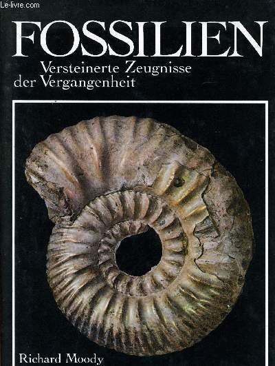 FOSSILIEN, VERSTEINERTE ZEUGNISSE DER VERGANGENHEIT | Immagine principale