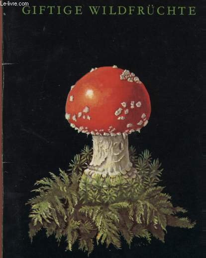 DER LADEN, DRITTER TEIL | Immagine principale