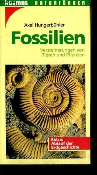 FOSSILIEN. VERSTEINERUNGEN VON TIEREN UND PFLANZEN. | Immagine principale