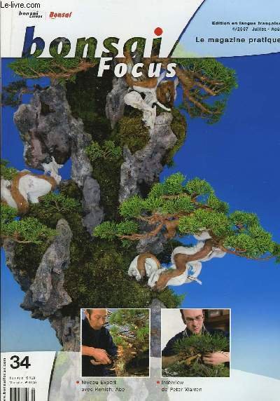 Bonsai Focus N°34 : Niveau Expert avec Kenichi Abe. Interview …