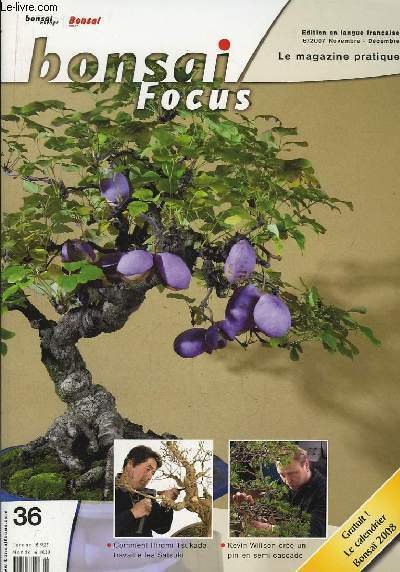 Bonsai Focus N°36 : Comment Hiromi Tsukada travaille les Satsuki. …