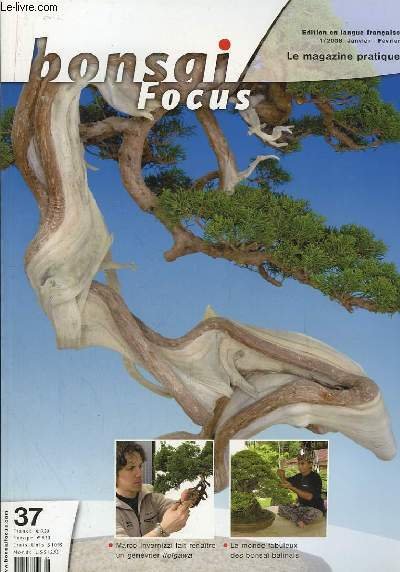 Bonsai Focus N°37 : Marco Invernizzi fait renaitre un genévrier …