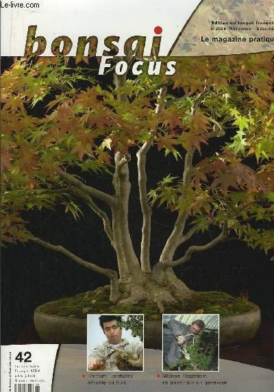 Bonsai Focus N°42 : Hotsumi Terakawa affronte un buis. Michael …