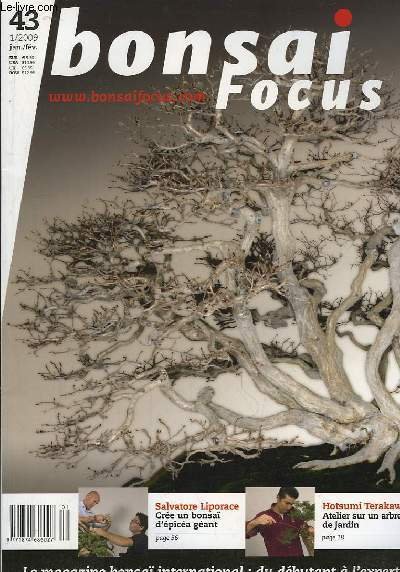 Bonsai Focus N°43 : Crée un bonsaï d'épicéa géant, par …