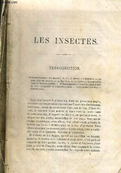 LES INSECTES - LES APTERES - LES DIPTERES - LES …