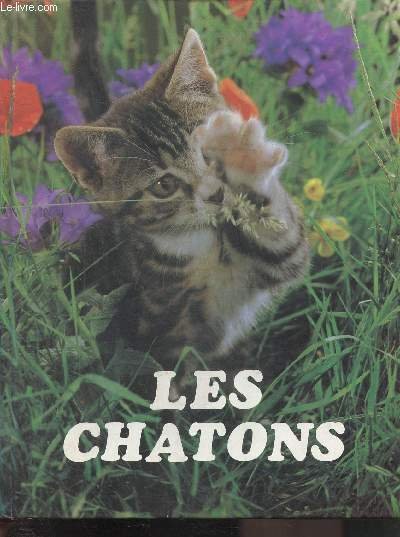 LES CHATONS