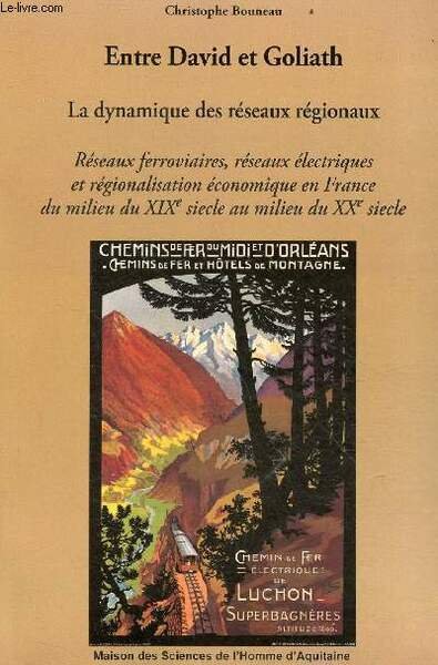 Entre David et Goliath - La dynamique des réseaux régionaux …