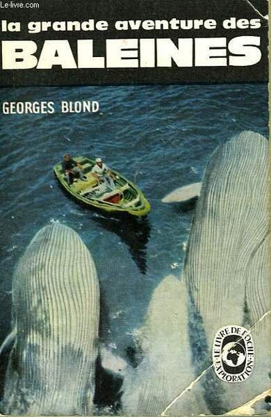 LA GRANDE AVENTURE DES BALEINES - PHOTOGRAPHIES DANS